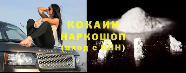 шишки Новозыбков