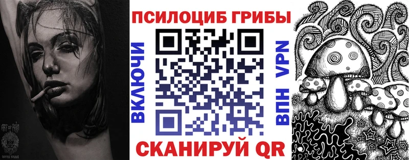 наркотики  блэк спрут рабочий сайт  Псилоцибиновые грибы Psilocybine cubensis  Нерчинск 